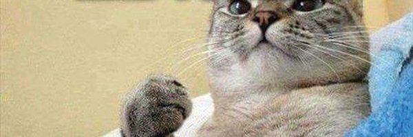 Subimaginati Profile Banner