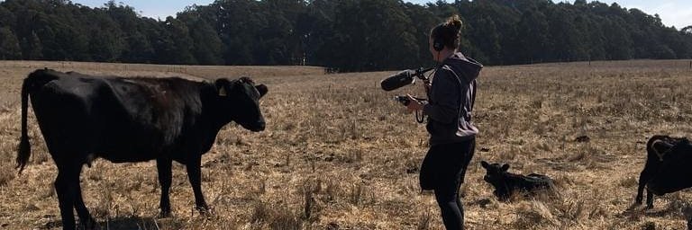 emshawcreates's profile banner image