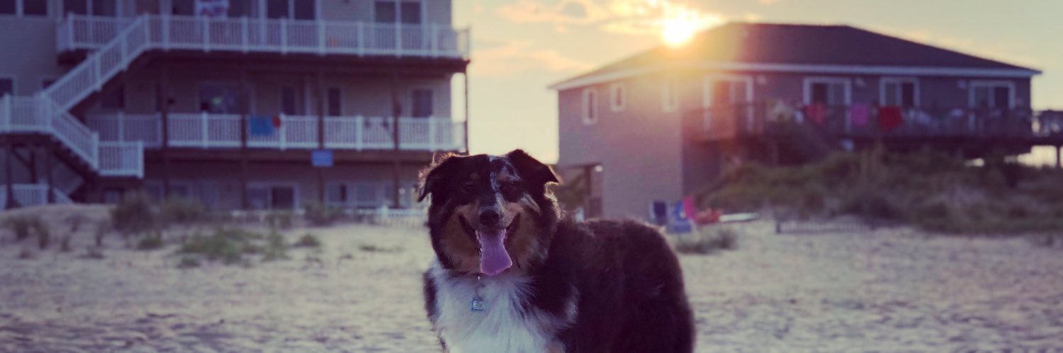 kyle_kozay's profile banner image