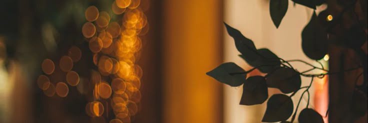 wkdlxlin's profile banner image