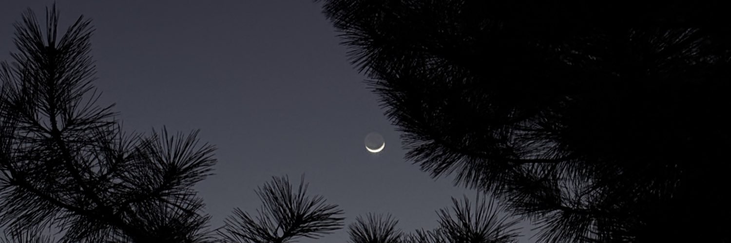 a13xa333's profile banner image