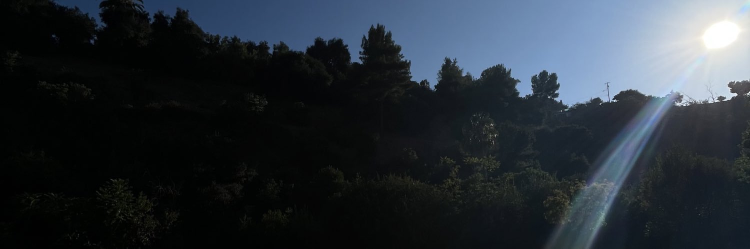 lexiesazo's profile banner image