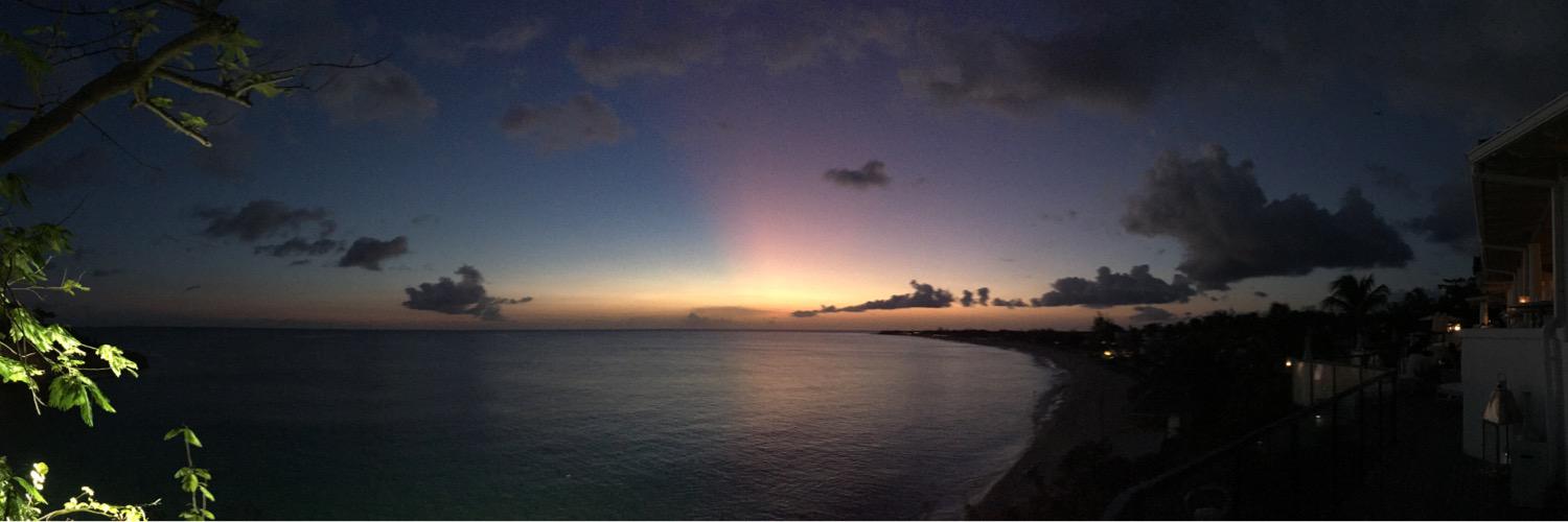 Céliane de la Salle banner