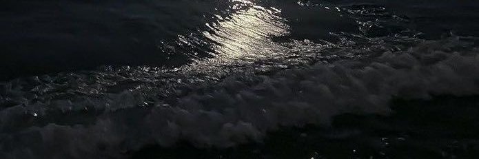 SS____100's profile banner image