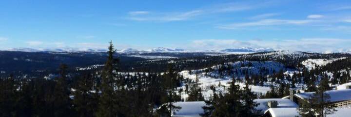 Anne Flagstad banner