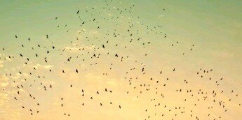 Naty_MeFlo's profile banner image