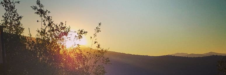 Sofíta Mora banner