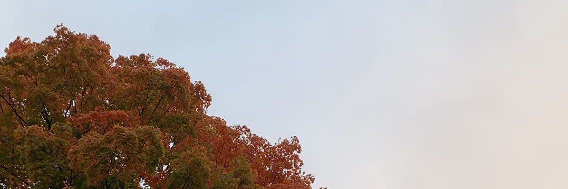 da_la_da_la_'s profile banner image