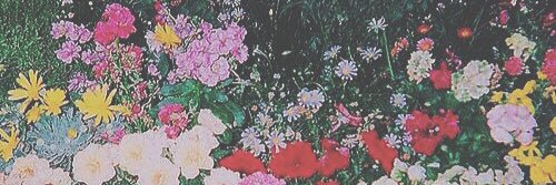 aaa_miku_sky's profile banner image
