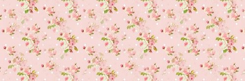 NickyJoEvans's profile banner image