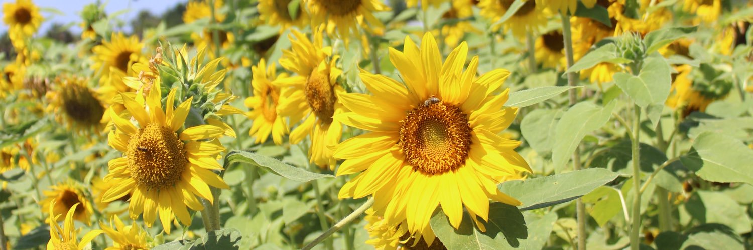 KaleighRainey's profile banner image