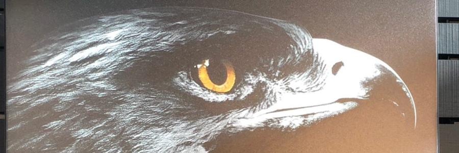 Noth1ng banner