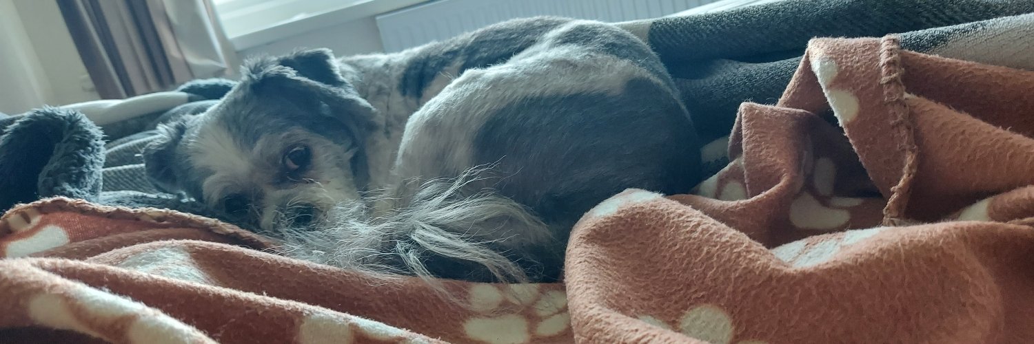 David Selfridge banner