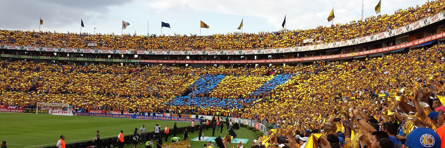HormigaRamos's profile banner image