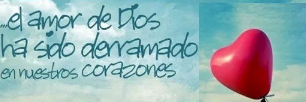Vandice11's profile banner image