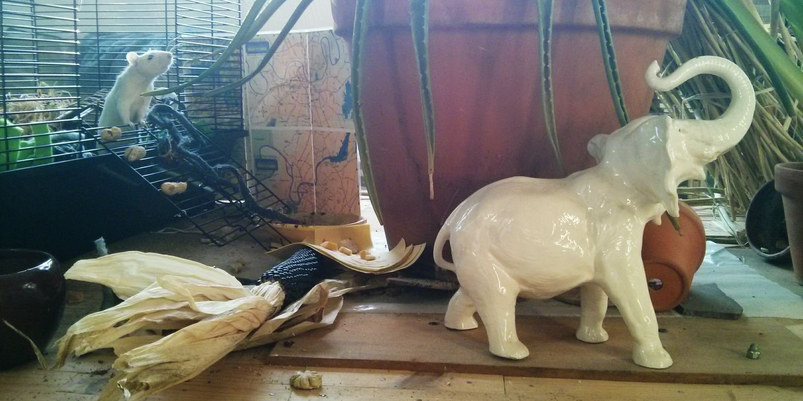 form of water banner