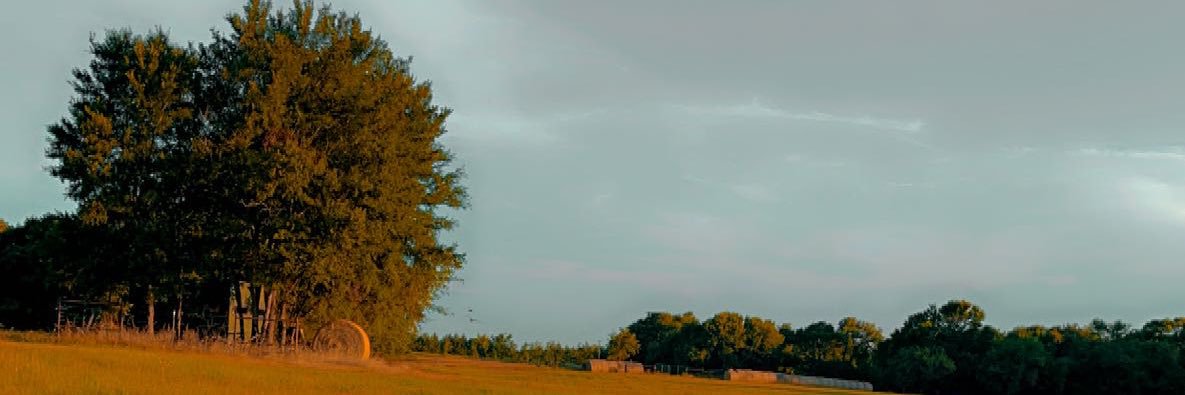 Atkins10_'s profile banner image