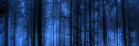 murkwolf's profile banner image