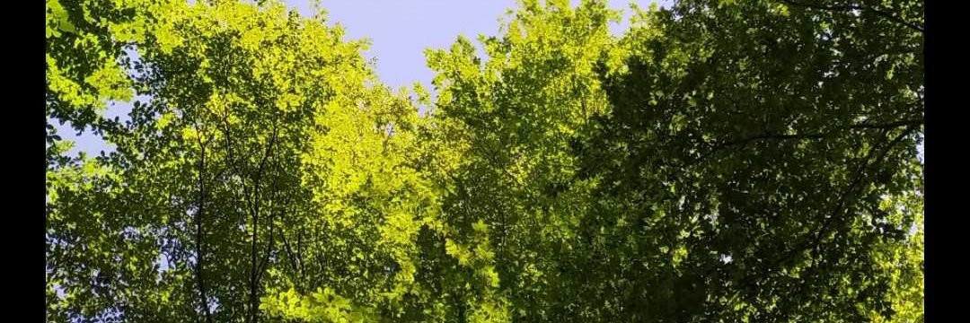 akocak99's profile banner image