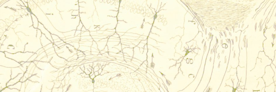 Raul Arrabales banner