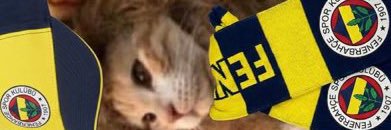 Berkan banner