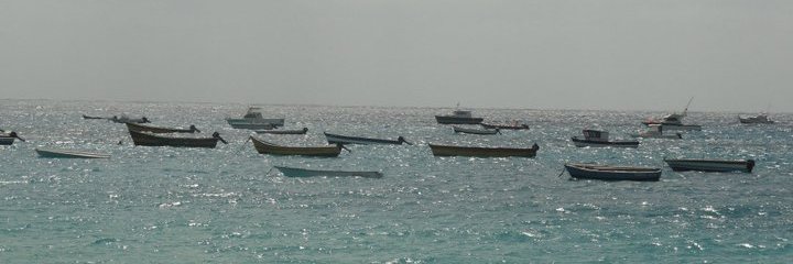 asrfernandes's profile banner image