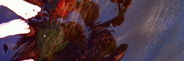 AnsDeVos Profile Banner