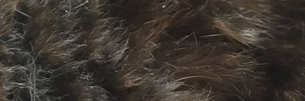 johnsonbecky Profile Banner