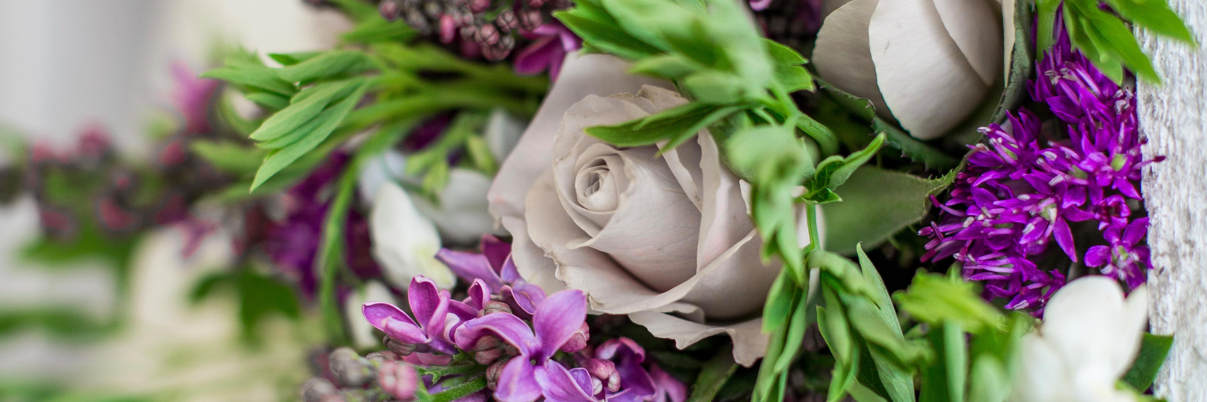 floral_wild's profile banner image