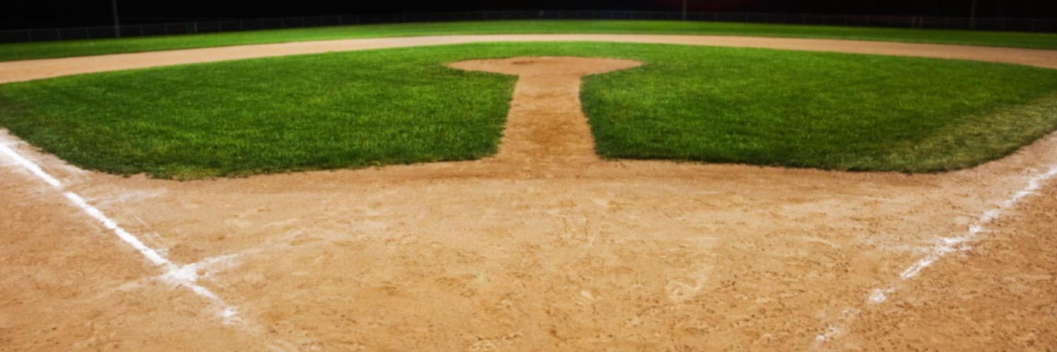 Long Reach Baseball banner