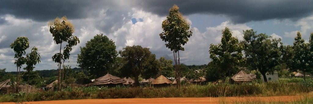 Keren Landsman banner