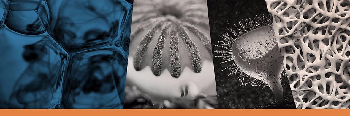 BVCFund's profile banner image
