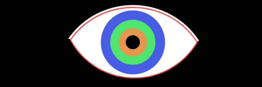 L'Œil de Poisson banner