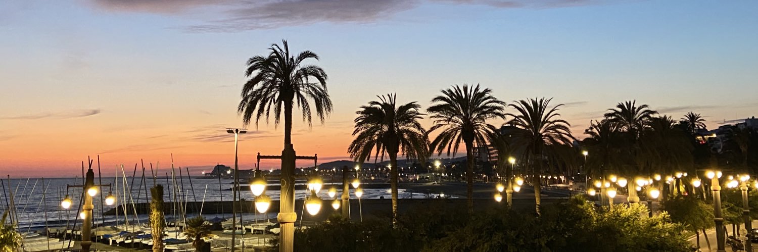 sfuvl's profile banner image