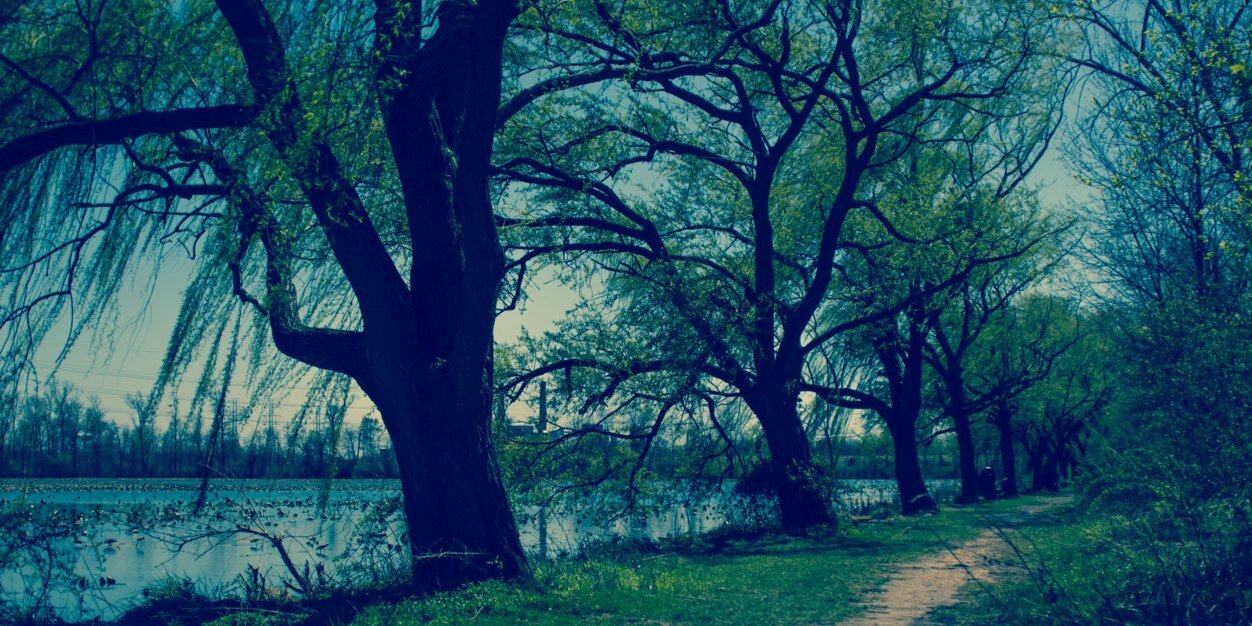 PeaceInMind_'s profile banner image