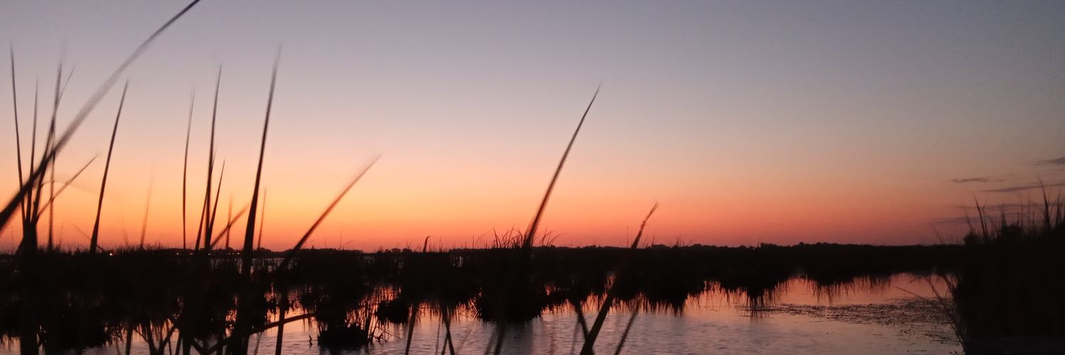 Camipedroli's profile banner image