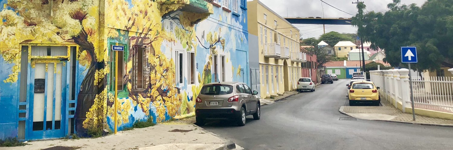 Bas Dingemanse banner