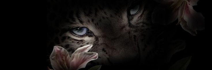 _gwiselle's profile banner image