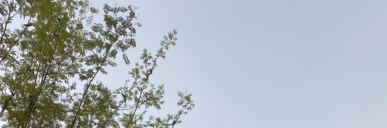 wecan60's profile banner image