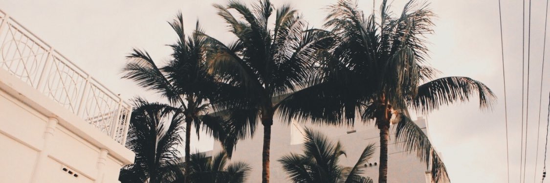 angelyb_'s profile banner image