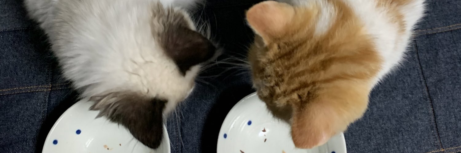 potatoimopotato's profile banner image