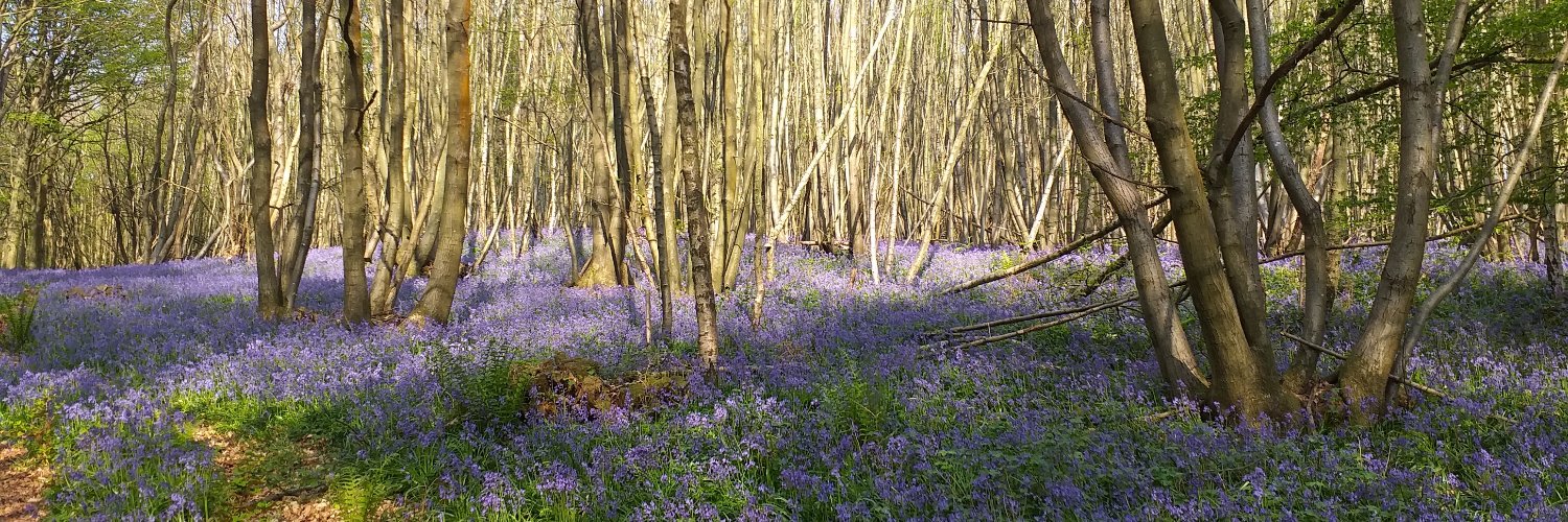 Peter Taylor-Gooby banner