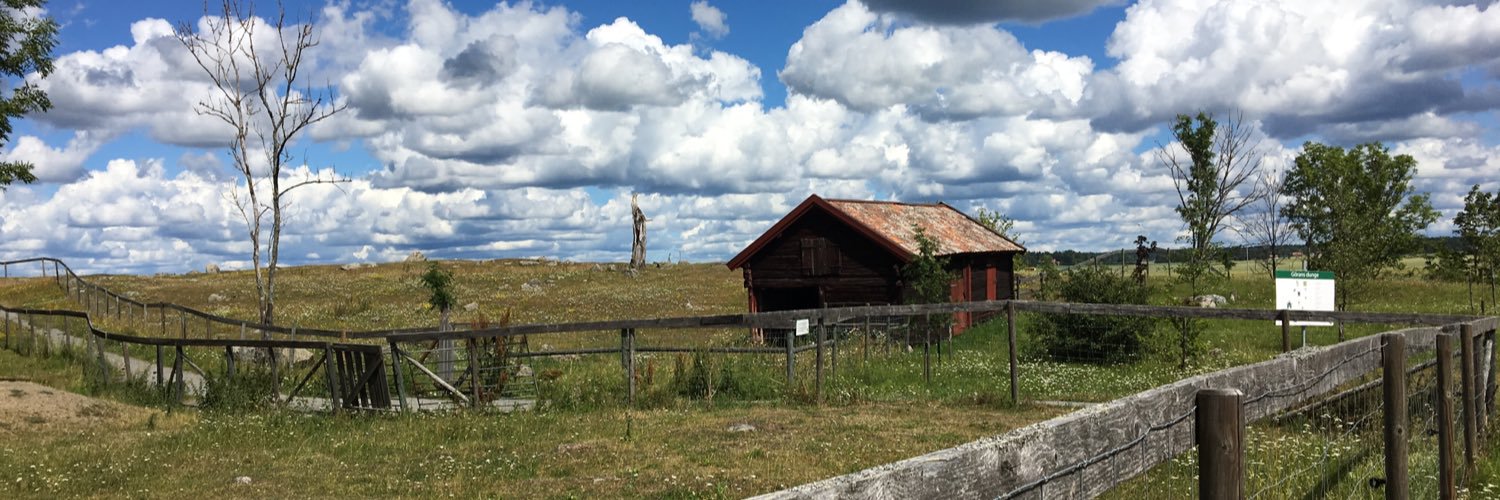 AL_Blomstrom's profile banner image