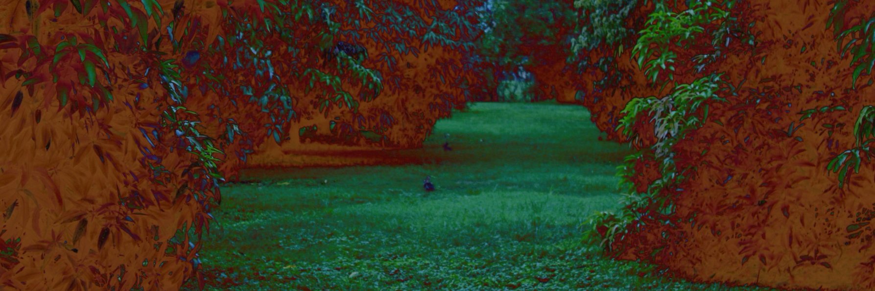 ocdunlap's profile banner image