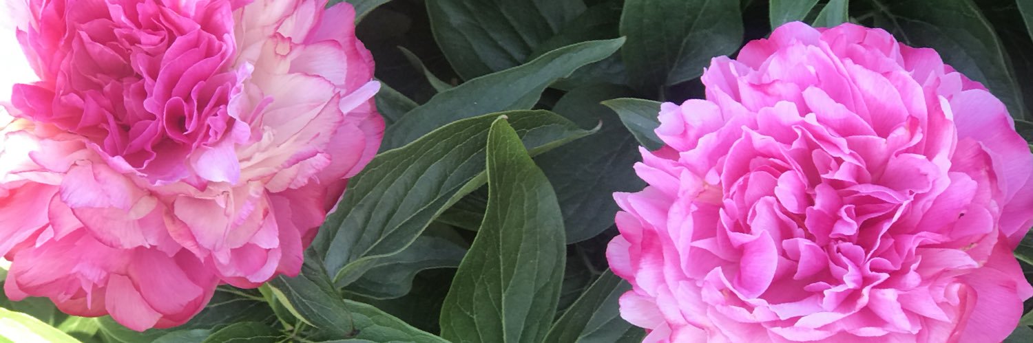LilMsbigTIME's profile banner image