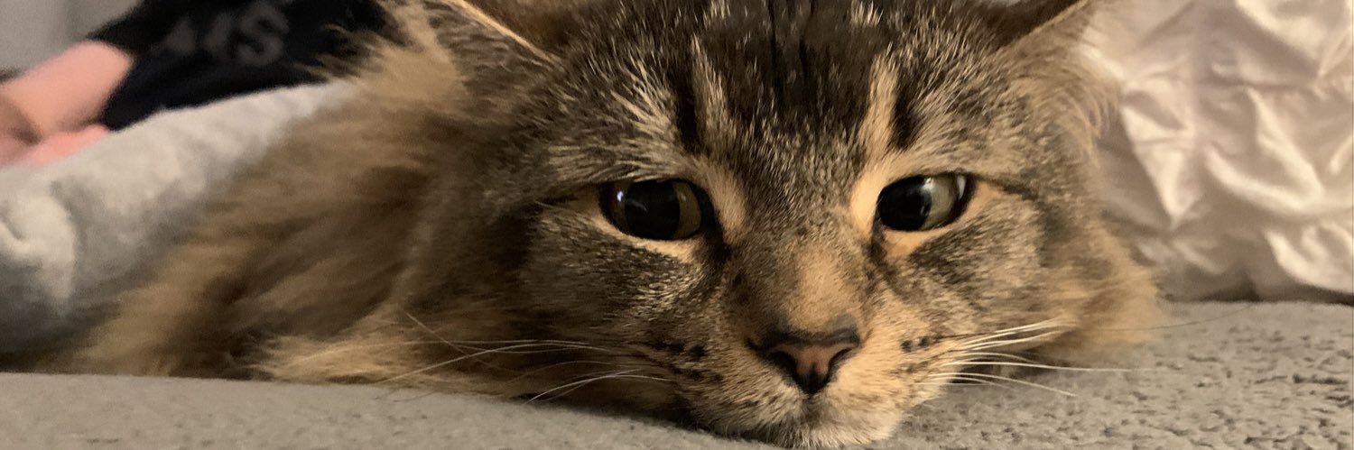 lottieechar's profile banner image