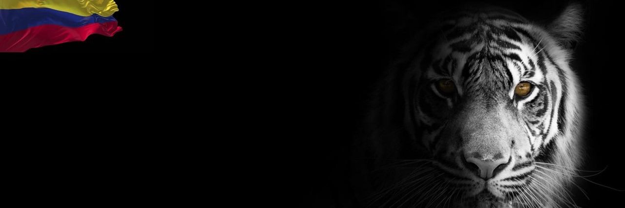 💪 banner