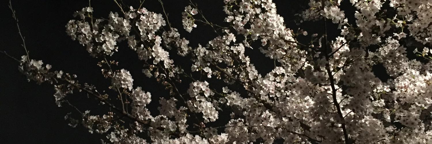 hinnyujoho's profile banner image