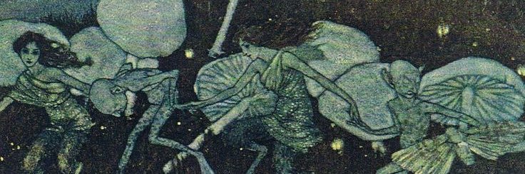 mandotti's profile banner image