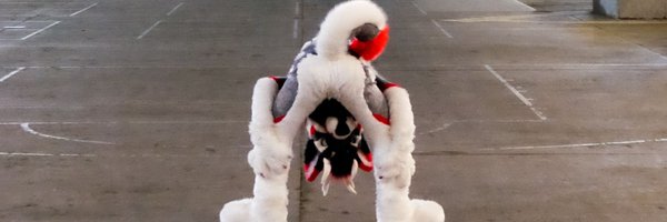 FyroAus Profile Banner